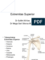 K1,2-Extremitas Superior & Inferior