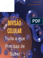 Tudo O Que Precisas de Saber Sobre A Mitose