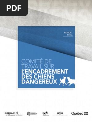 Rapport Final Du Groupe De Travail Sur Lencadrement Des