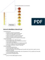  Scala Analog Vizuală