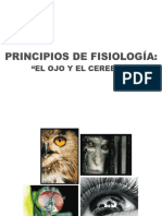 PRINCIPIOS DE FISIOLOGIA-OJO CEREBRO.pdf
