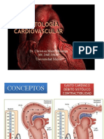 clases definitivas pato.pdf