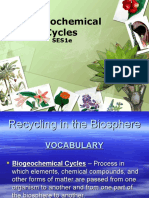 biogeochemical cycles - august 26 2015