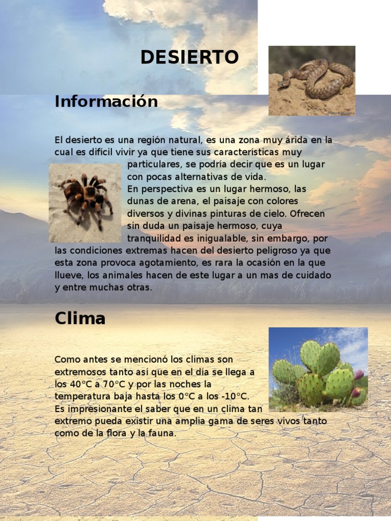 Características del ecosistema desértico | PDF | Desierto | Clima