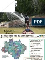 Fondo Amazonia, BNDES