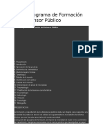 Formacion Del Defensor Publico - Mario Sanler