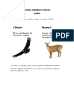 Animales en Peligro de Extinción