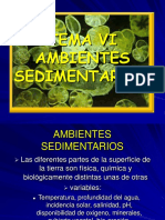 Ambientes Sedimentarios.pdf