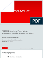 BRM Roaming Overview v1.0