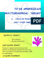 Proyecto_SENSO.pdf