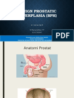 Benign Prostatic Hyperplasia (BPH)