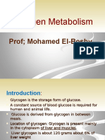 Glycogen Metabolism