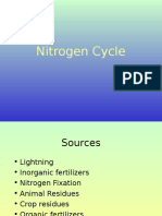 Nitrogen Cycle