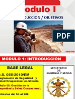 GESTION DE SEGURIDAD DS 055-2010 878789798789