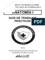 128122773-Gu-a-Anato-1-NUEVA-pdf (1).pdf