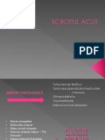 Scrotul Acut