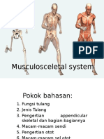 Musculosceletal System