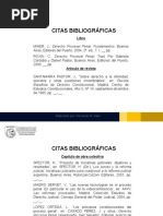 Citas Bibliográficas y Notas a Pie de Página
