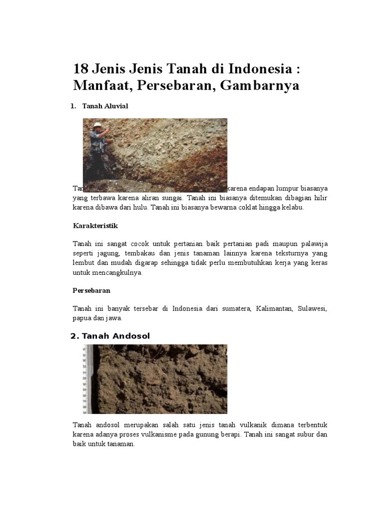 15 Jenis Tanah di Indonesia dan Gambarnya | PDF | Griya & Taman