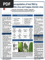 Shrestha Schnizlein Project Poster April 2015 Final Version