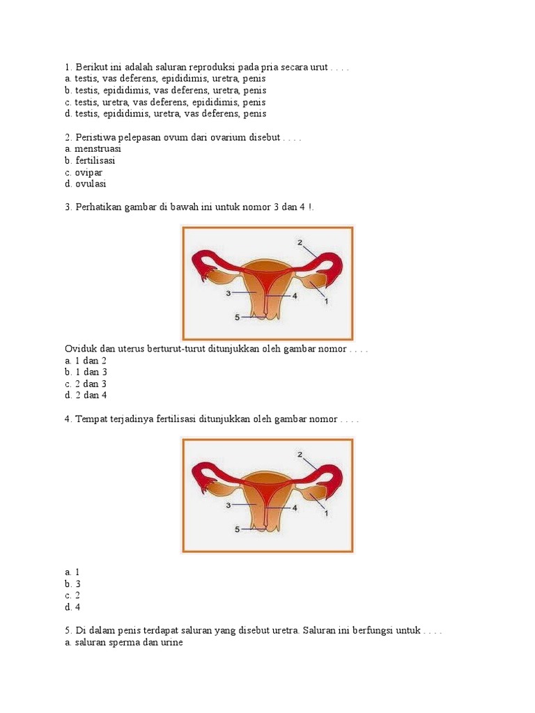 Soal Sistem Reproduksi Manusia | PDF