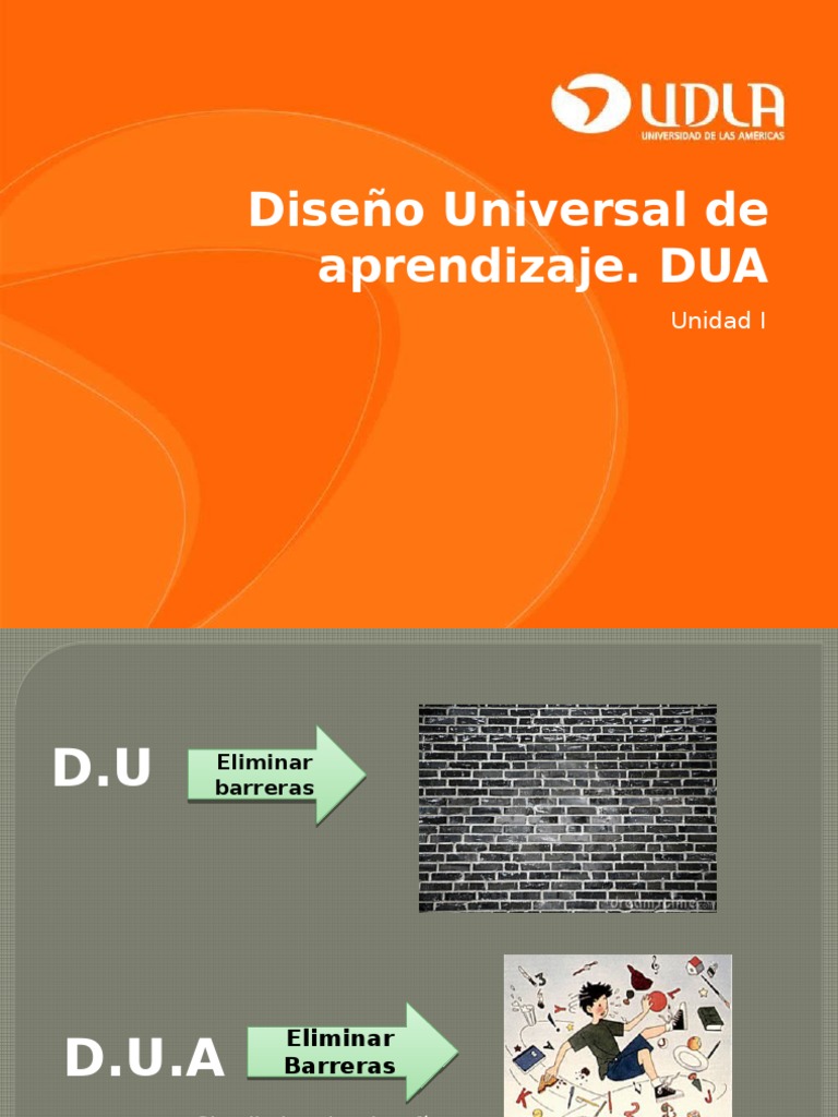 Principios del DUA en la Educación | PDF | Plan de estudios | Aprendizaje