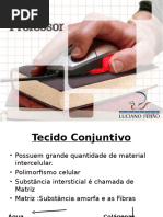 tecido_conjuntivo