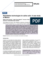 Remediation Technologies For Saline Soils: A Case Study of Mexico
