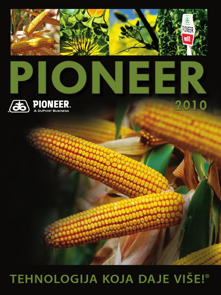 Pioneer Katalog 2010 PDF