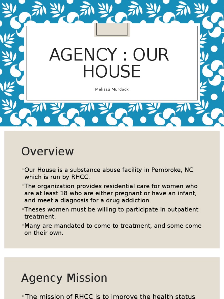 Agency Overview | PDF