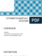 Stomatognathic System