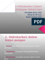 Senyawa Hidrokarbon Dalam Kehidupan Sehari-Hari