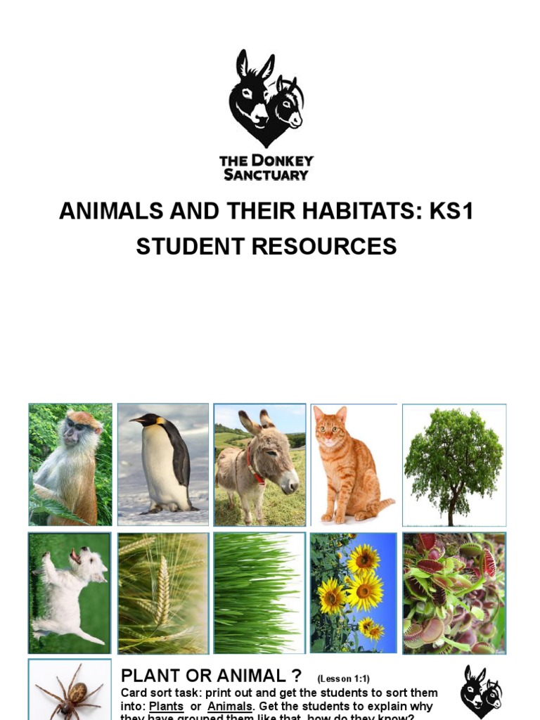Animals and Their Habitats Ks1 Worksheets Predation Habitat