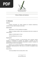 Clínica Médica de Equinos 01.pdf