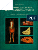 atlas locomotor de equino.pdf