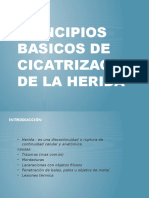 Principios Basicos de Cicatrizacion de La Herida