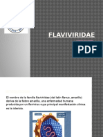 FLAVIVIRIDAE