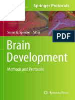 Brain Development