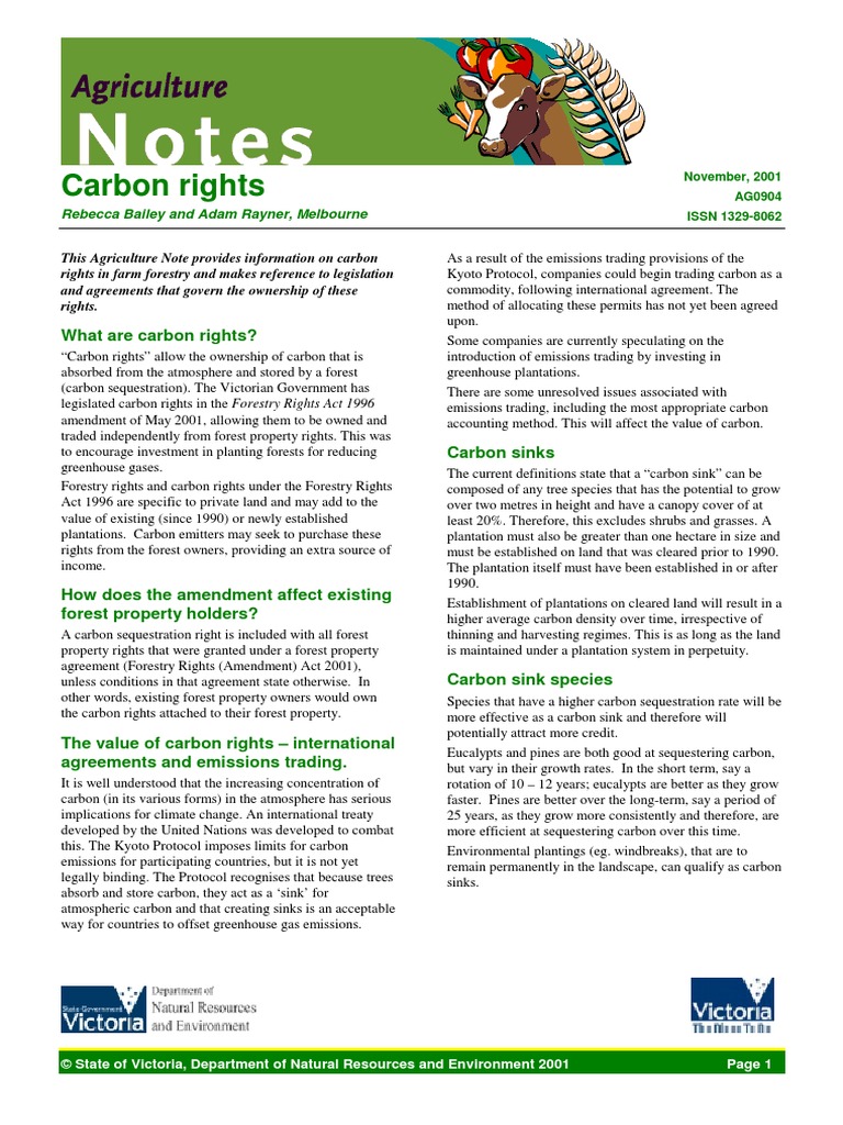 Carbon Rights Carbon Sink Emissions Trading