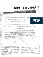 Apuntes Recuperacion Secundaria PDF (1)
