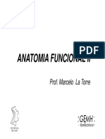 aula_6_-anatomia_funcionalii.pdf