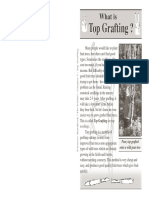 7 Top Grafting PDF