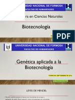 Tema 1 Ingenieria Genetica