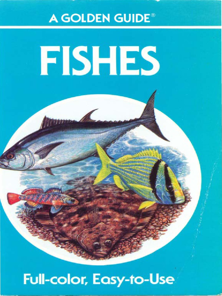 Fishes - Golden Guide 1987 PDF, PDF, Rainbow Trout