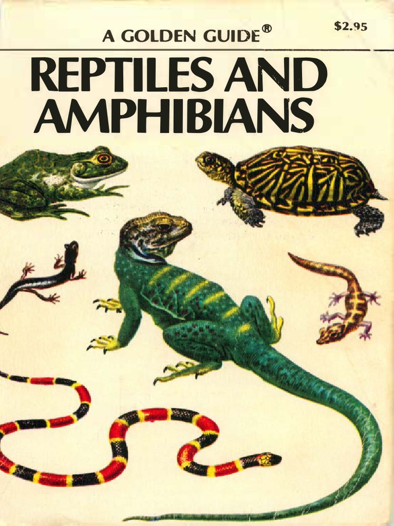 Reptiles and Amphibians - Golden Guide 1956 PDF | PDF | Reptile | Nature