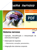 O sistema nervoso.pdf