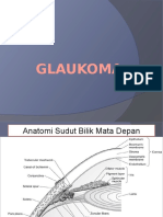 208658411-PPT-glaukoma.pptx