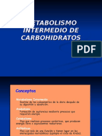 Vias Metabolicas