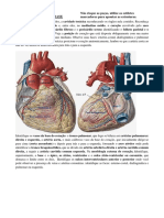 Fisio Anatomia PTBR Sistema Circulatorio Www-Apostilasfisio-com