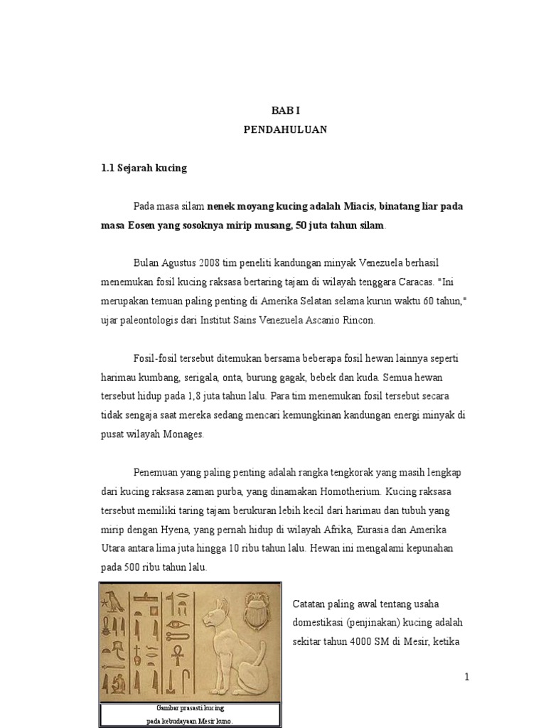 Kucing  PDF